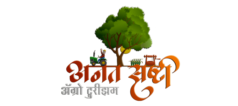 How seofox.io Helped AnantSrushti Agro Tourism Build a High-Engagement Instagram Presence logo